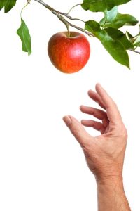 maryland apple picking season 2023