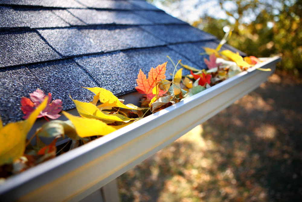 autumn gutter maintenance