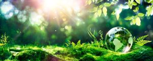 Earth Day 2025